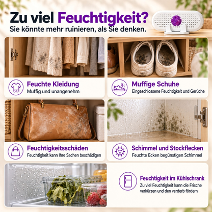 🔥 50% Rabatt ⏰ Mini-Wiederverwendbarer Luftentfeuchter – Tragbarer Feuchtigkeitsabsorber für Zuhause, Kleiderschrank & Bad