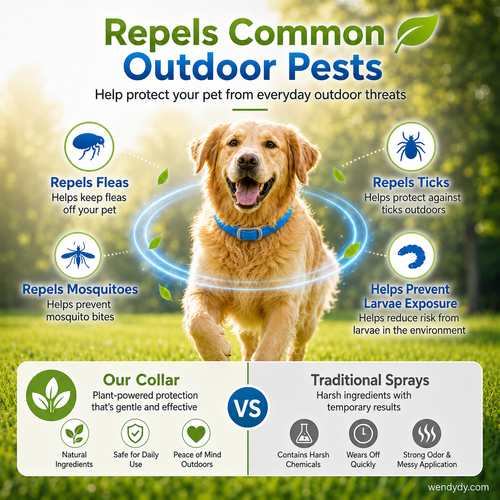 🥳2026 HOT SALE🥳💞50K+ SOLD!🌿🛡️ 50% OFF! Natural Essential Oil Pet Collar – 8‑month flea & tick protection. Plant‑based, no harsh chemicals. Safe for dogs & cats! 🐾✨-Navalonixcosh®
