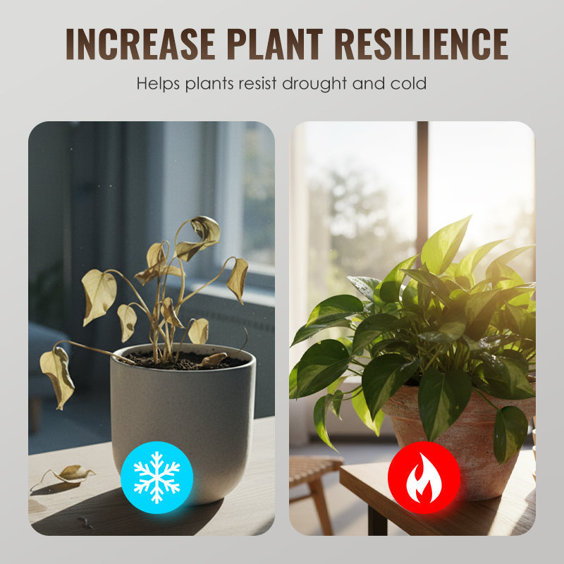 💥Neujahrsangebot 50% Rabatt💥🌱 Universeller Pflanzen-Wurzelaktivator & Bodenverbesserer -Remifa® 💪